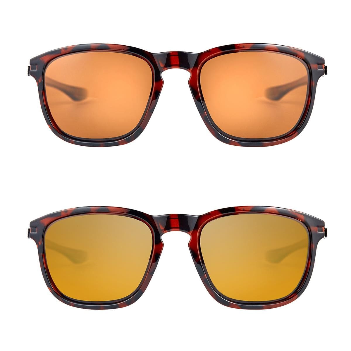 Fortis Strokes Polarised Sunglasses - Carp Fishing.