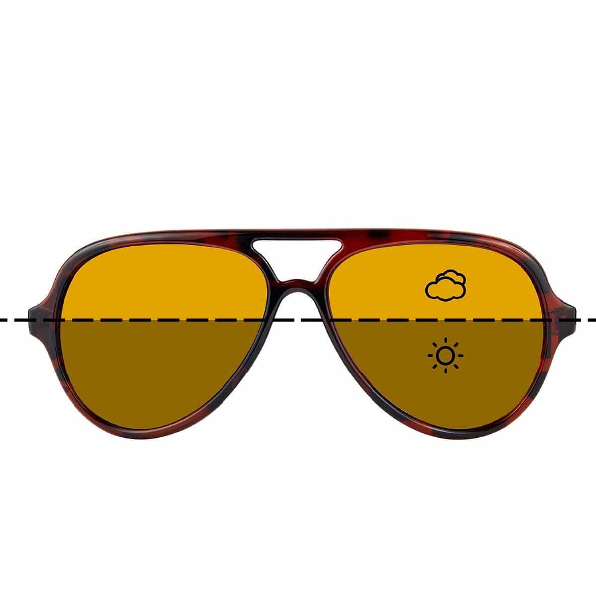 Fortis Aviator Polarised Sunglasses - Carp Fishing.